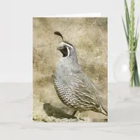 Quail. Card