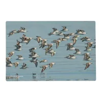 Sanderlings Take Flight in the Winter Skies Placemat