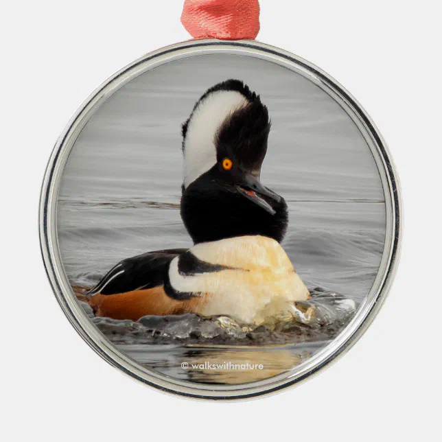 Funny Surprised Hooded Merganser Waterfowl Duck Metal Ornament