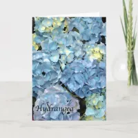 Blue Hydrangea Flower  Card