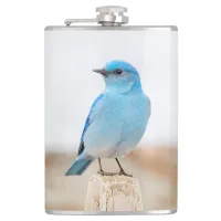 Beautiful Mountain Bluebird on Beach Stump Flask