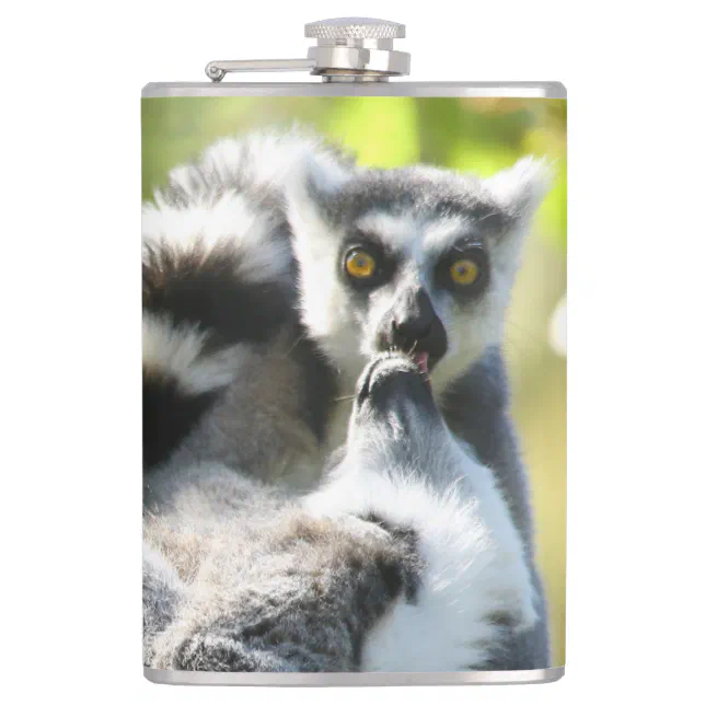 Funny Surprised Lemurs of Madagascar Flask