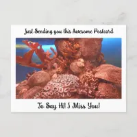 Coral and Sting Ray "I Miss YOU" Saying Hi   Postcard