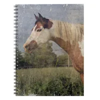 Pinto Horse Grunge Notebook