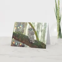 Whimsical Owl in Winter with Christmas Lights Holiday Card