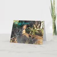 Easter Wild Rabbit Holiday Card