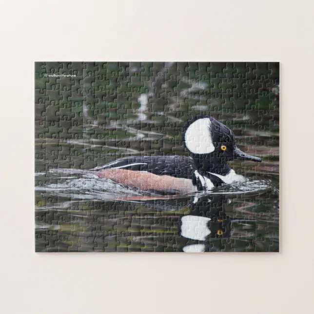 Stunning Hooded Merganser Duck in Pond Jigsaw Puzzle