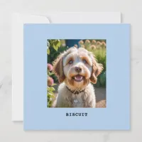 Personalized Pet Dog Cat Photo Name Greetings Card