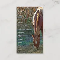 Horse at Sunset Business Card