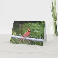 You're in My Prayers | Cardinal Photography Card