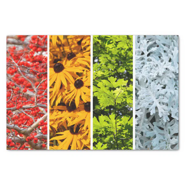 Colors of the Changing Seasons Quadriptych Tissue Paper