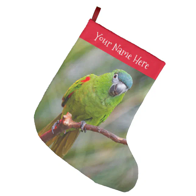 Hahn's Mini Macaw / Red-Shouldered Macaw Large Christmas Stocking