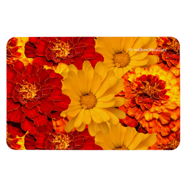 A Medley of Red Yellow and Orange Marigolds Magnet