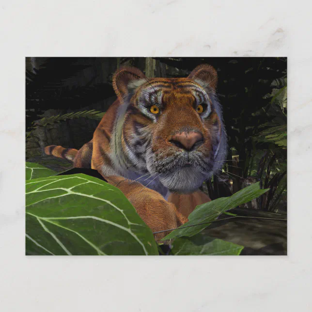 Tiger Crouching in the Jungle Postcard