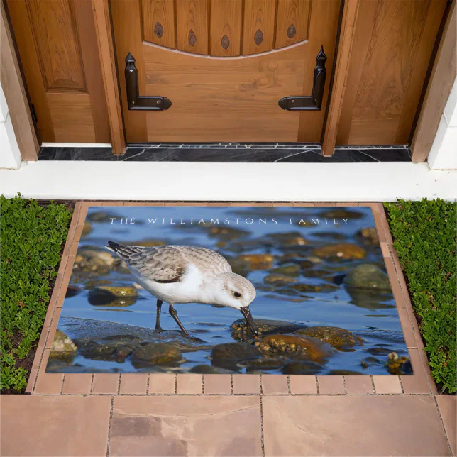 Cute Foraging Sanderling Sandpiper on Winter Beach Doormat