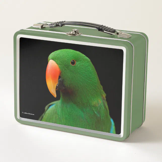 "The Green Orator" Eclectus Parrot Metal Lunch Box