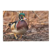 Male Wood Duck in the Woods Placemat
