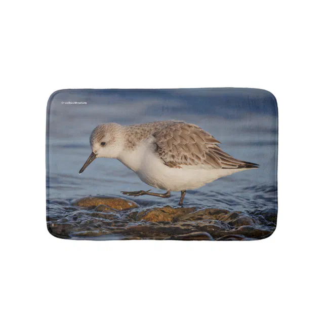 Cute Sanderling Sandpiper Walking Winter Beach Bathroom Mat