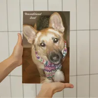 German Shepherd Dog Black & Tan Unconditional Love Photo Print