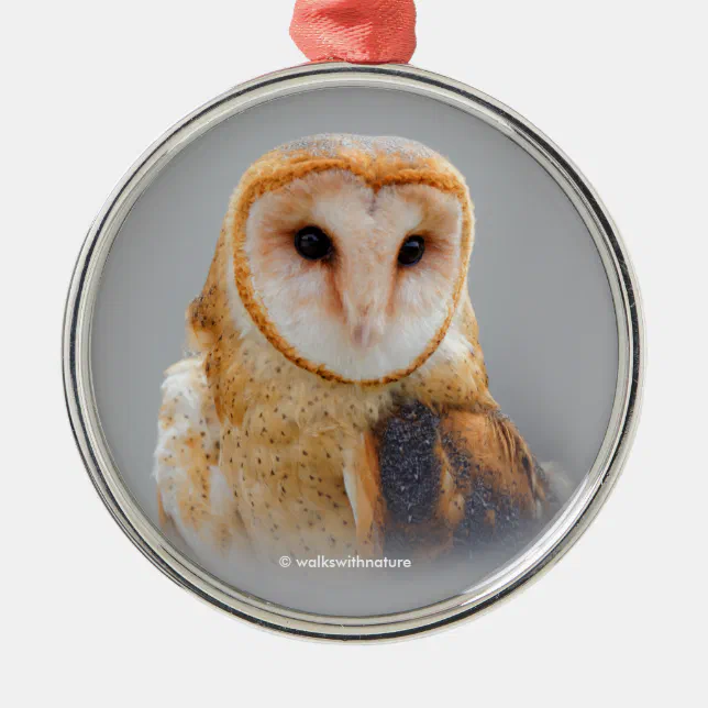 A Serene and Beautiful Barn Owl Metal Ornament