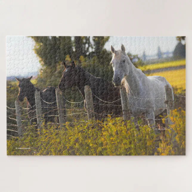 Autumn Portrait of Three Horses Jigsaw Puzzle