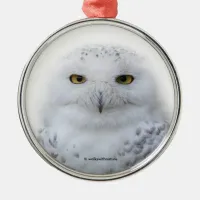 Beautiful, Dreamy and Serene Snowy Owl Metal Ornament