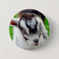 Pretty Goat Kid Button