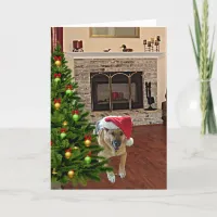 Santa German Shepherd Dog by Christmas Tree, ZKA Holiday Card