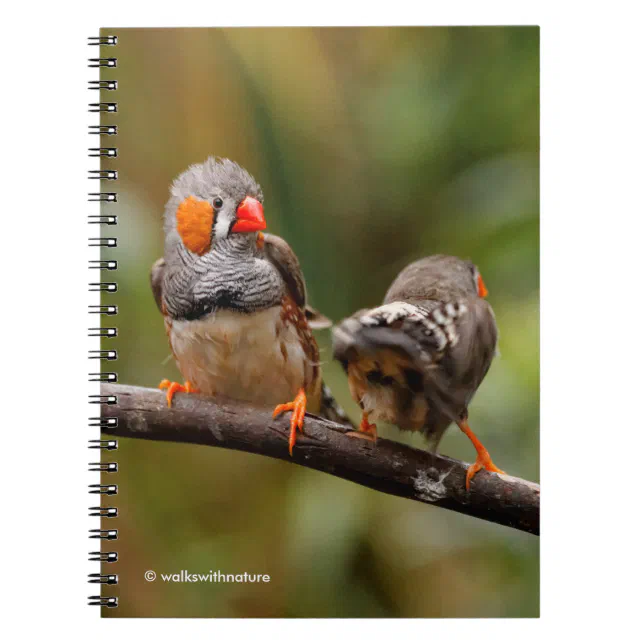 A Cheeky Pair of Zebra Finches Notebook