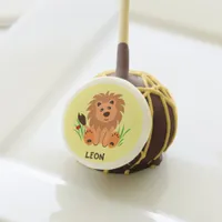 Cute lion in the grass with ladybug cake pops