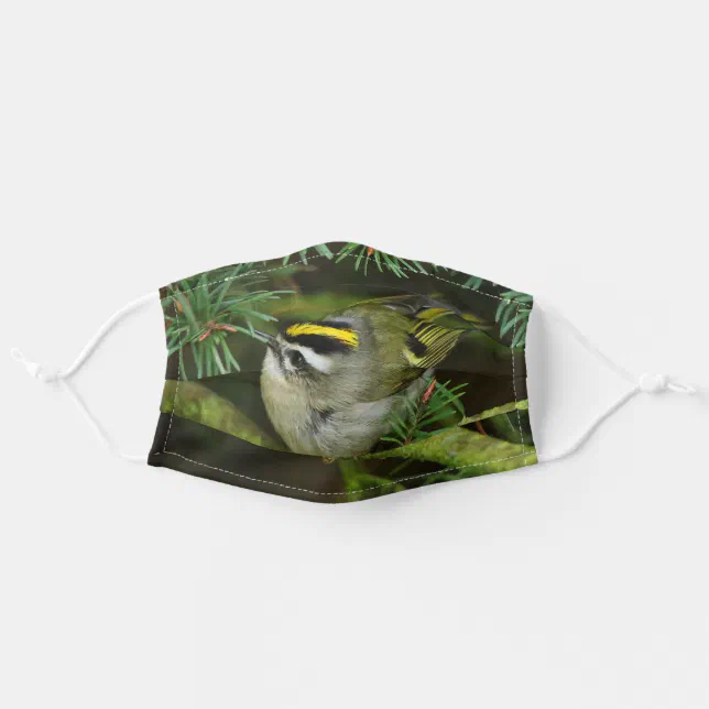 Thumbnail for Cute Kinglet Songbird Causes Stir in the Fir Adult Cloth Face Mask