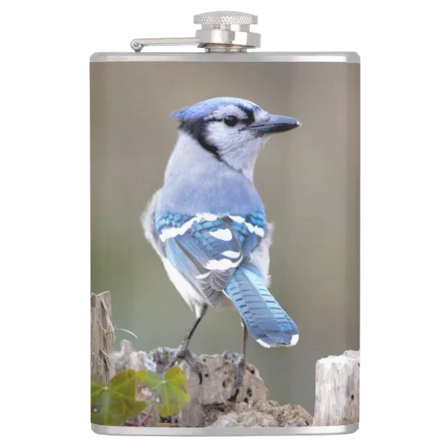 Cute Blue Jay Songbird on Treestump Flask