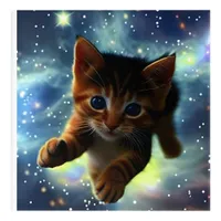 Kitten Running In Space Acrylic Print