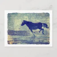 Mustang Gallops On Beach Postcard