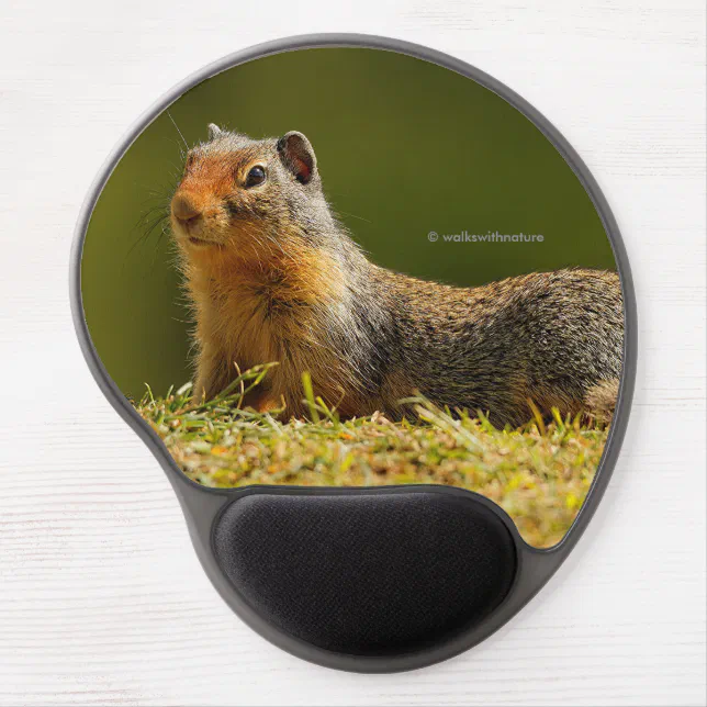 Curious Cute Columbian Ground Squirrel Gel Mouse Pad