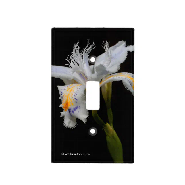 Elegant Floral Crested Shaga Japanese Iris Light Switch Cover