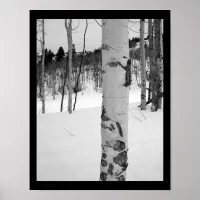 Colorado Winter Aspen Tree Poster