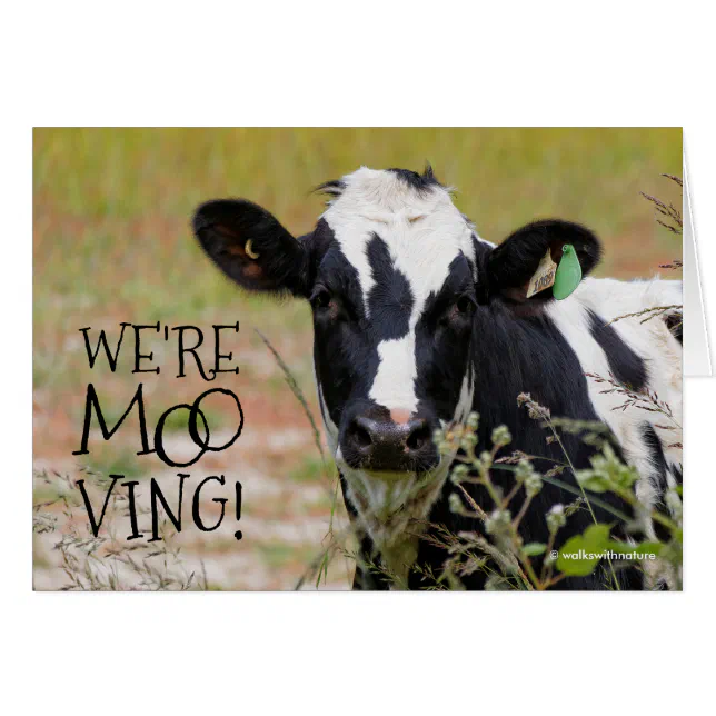 Funny "We're Moo-ving!" Moving Announcement Cow