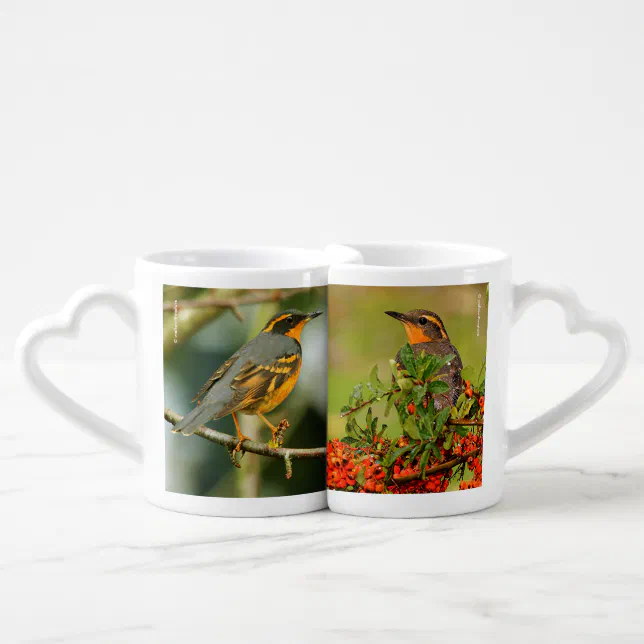 Varied Thrushes Coffee Mug Set