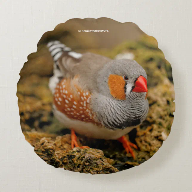 Zebra Finch on the Rocks Round Pillow