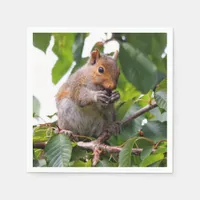 Cute Cherry Picking Eastern Grey Squirrel Napkins