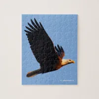 Breathtaking Bald Eagle in Winter Sunset Flight Jigsaw Puzzle