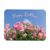 Pink rose bush under blue sky, custom  magnet