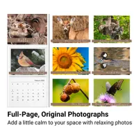 Midwestern Backyard Nature Photography Calendar