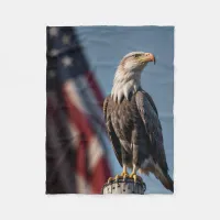 Eagle and American Flag