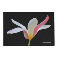 Elegant Lady Tulip White Pink Flowers Placemat