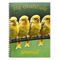 Gratitude Journal