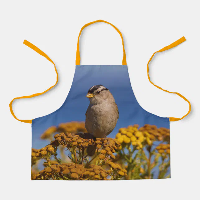 Cute White-Crowned Sparrow Sitting on the Tansy Apron