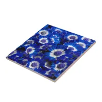 Beautiful Royal Blue Cineraria Flowers Ceramic Tile