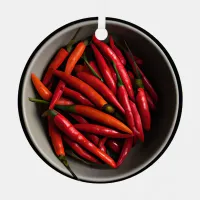 I've Got the Hots for You | Hot Peppers Funny Metal Ornament